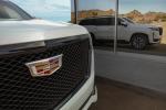 Cadillac Escalade Platinum Sport 2020 года (NA)